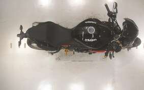 TRIUMPH SPEED TRIPLE R 2014 PN135G