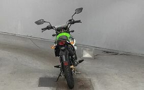 KAWASAKI KSR PRO 不明