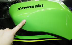 KAWASAKI NINJA ZX-6R A 2019 ZX636G