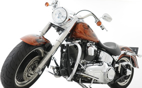 HARLEY FLSTF 2011 BX5