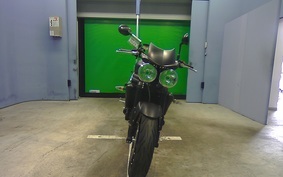 TRIUMPH SPEED TRIPLE 2008 E5865R