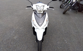 SUZUKI ADDRESS V110 CE47A