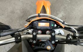 KTM 690 ENDURO R 2010 LES40