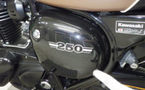 KAWASAKI W250 BJ250L