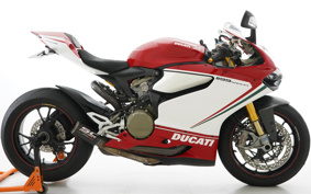 DUCATI 1199パニガーレSトリコ 2012 14BPW