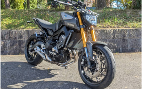 YAMAHA MT-09 2016 RN34J