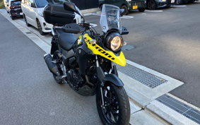 SUZUKI STROM 250 DS11A