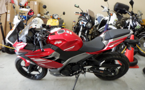 KAWASAKI Ninja 250 ABS EX250P