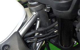 KAWASAKI ZX-4RR 2024 ZX400P