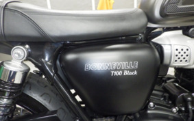 TRIUMPH BONNEVILLE T100 2019