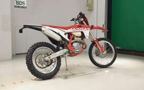 GASGAS EC 250 F GCA4