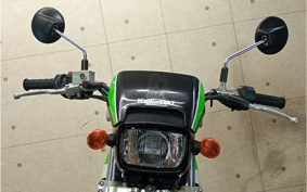 KAWASAKI SUPER SHERPA KL250G