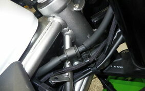 KAWASAKI ZX-4RR 2024 ZX400P