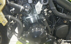 TRIUMPH SPEED TRIPLE 2008 E5855R