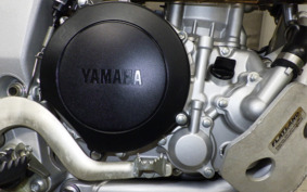 YAMAHA WR250R DG15J