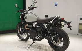 TRIUMPH SCRAMBLER1200X 2024