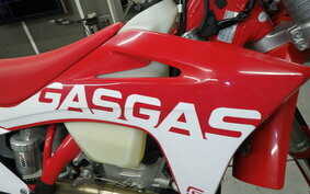 GASGAS EC 250 F GCA4