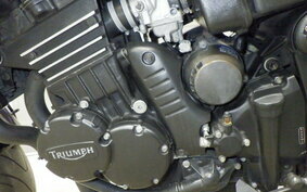 TRIUMPH SPEED TRIPLE 1994 C301DM