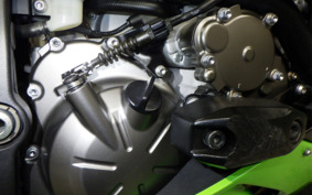 KAWASAKI NINJA ZX-6R A 2020 ZX636G