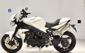 TRIUMPH SPEED TRIPLE 2009 E5865R