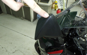 KAWASAKI NINJA 1000 SX 2024 ZXT02K