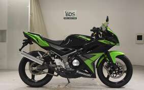 KAWASAKI NINJA150RR KR150P