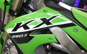 KAWASAKI KX250X KX252D