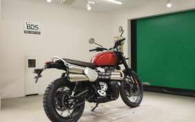 TRIUMPH SCRAMBLER1200X 2024