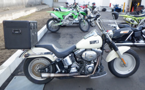 HARLEY FLSTF 2001 BMY