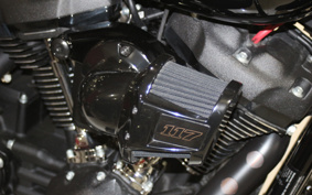 HARLEY FXLRS 2022 YWZ