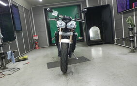 TRIUMPH SPEED TRIPLE 2011 PN105G