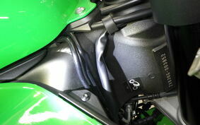 KAWASAKI NINJA ZX-6R A 2019 ZX636G