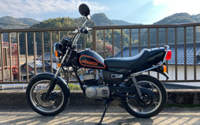 SUZUKI MAMETAN OR50