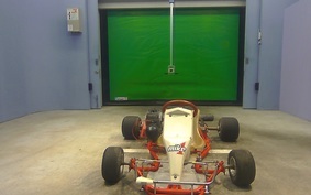 OTHER KART