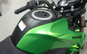 KAWASAKI Z125 PRO BR125H