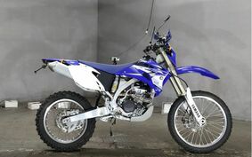 YAMAHA WR250F CELL CG30W