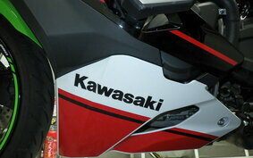 KAWASAKI ZX-25R ZX250E