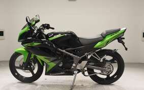 KAWASAKI NINJA150RR KR150P