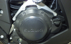 SUZUKI GSX250R