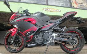 KAWASAKI Ninja 250 ABS EX250P