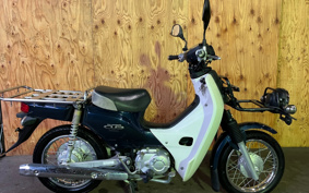 HONDA C50 SUPER CUB Pro AA04