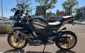 KAWASAKI NINJA ZX 25 ZX250E