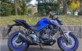 YAMAHA MT-25 RG43J