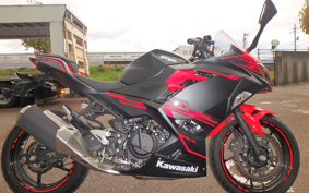 KAWASAKI Ninja 250 ABS EX250P