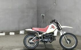 YAMAHA PW80 21W