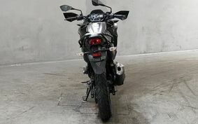 KAWASAKI VERSYS X250 LE250D