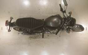 KAWASAKI W800 2024 EJ800E