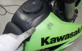 KAWASAKI KLX250 Gen.2 LX250S