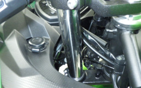 KAWASAKI NINJA 400 2021 EX400G