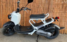 HONDA ZOOMER AF58